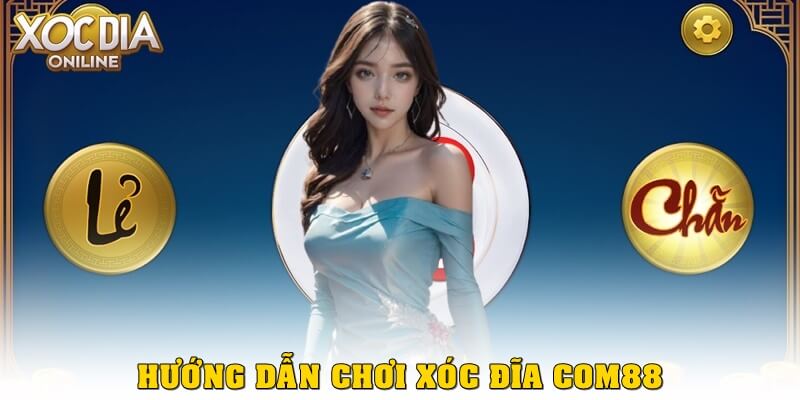 Hướng dẫn chơi xóc đĩa Com88 từ A–Z cho người mới bắt đầu