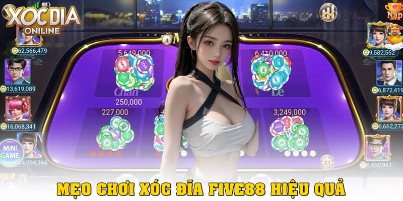 Xóc Đĩa Five88 – Trải nghiệm đỉnh cao tại sân chơi uy tín Mẹo chơi xóc đĩa five88 hiệu quả cho người mới