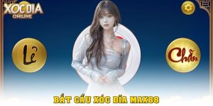 Bắt cầu xóc đĩa Max88 – Áp dụng chiến thuật hiệu quả