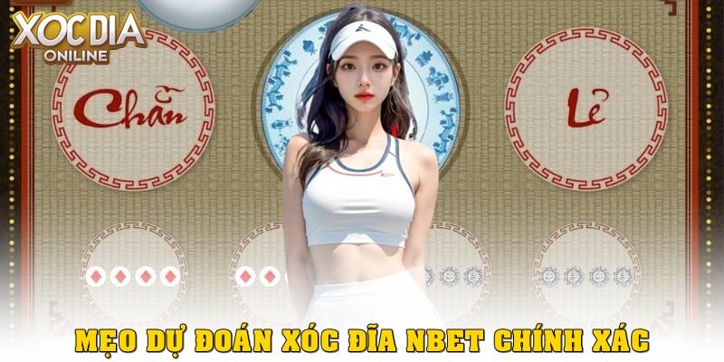 Mẹo nâng cao độ chính xác khi dự đoán xóc đĩa NBet