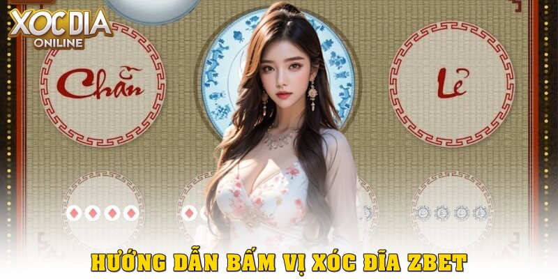 Bấm vị xóc đĩa ZBet là gì? Cách chơi hiệu quả tăng tỷ lệ thắng Hướng dẫn bấm vị xóc đĩa ZBet cho người mới