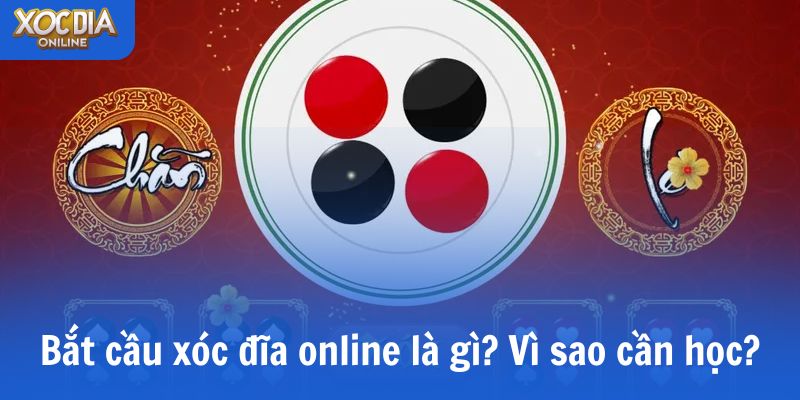 Bắt cầu xóc đĩa online là gì? Vì sao cần học?