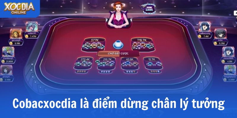 Cobacxocdia chính là điểm dừng chân lý tưởng cho những ai thích xóc đĩa
