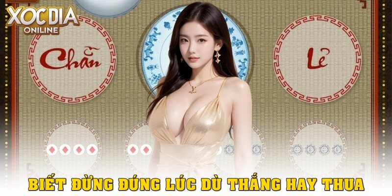 Top 5 mẹo chơi xóc đĩa online giúp bạn tăng tỷ lệ thắng Biết dừng đúng lúc – dù thắng hay thua