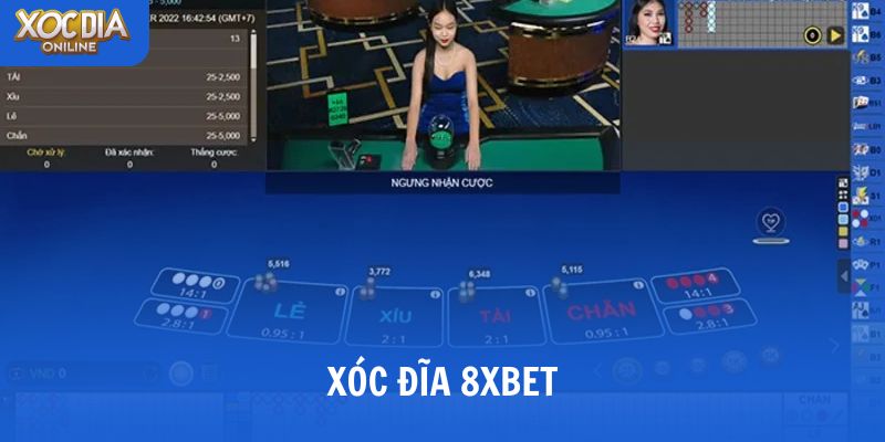 Xóc đĩa 8xbet là gì? Lý do game thủ việt đổ xô trải nghiệm